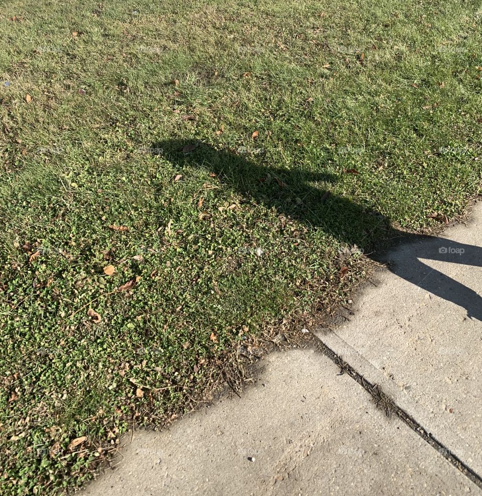 Shadow of a little boy walking to school 