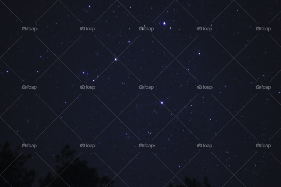 night sky full of stars