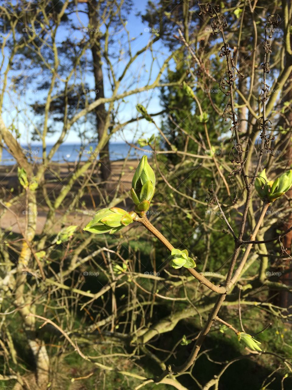 Catched in our garden 