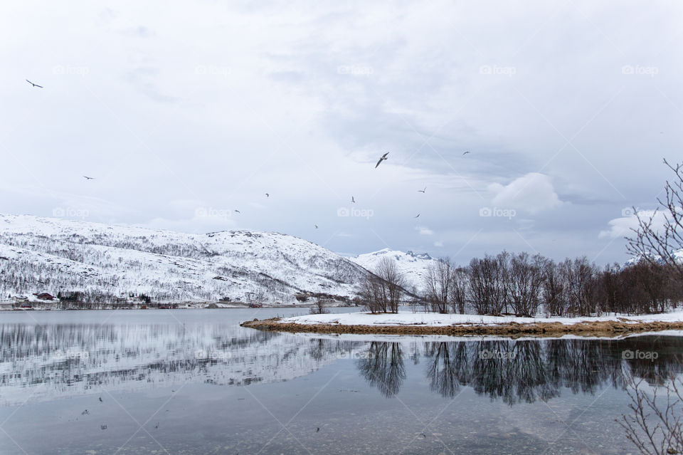 Mountain and lake reflected in lake