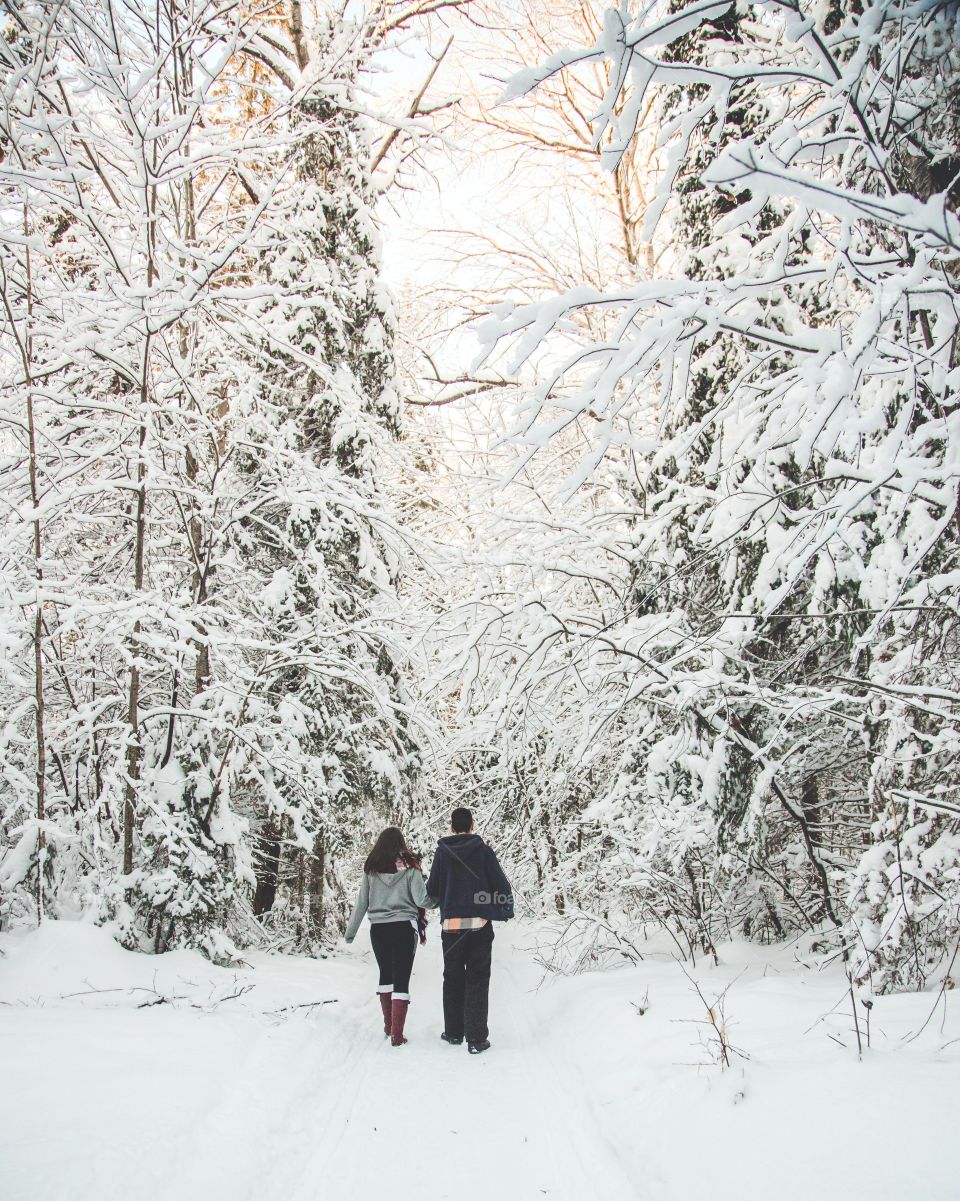 A couple walking through a forest of large pines and soft snow