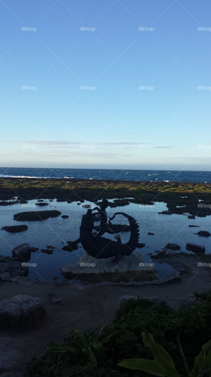 the man and the crocodile