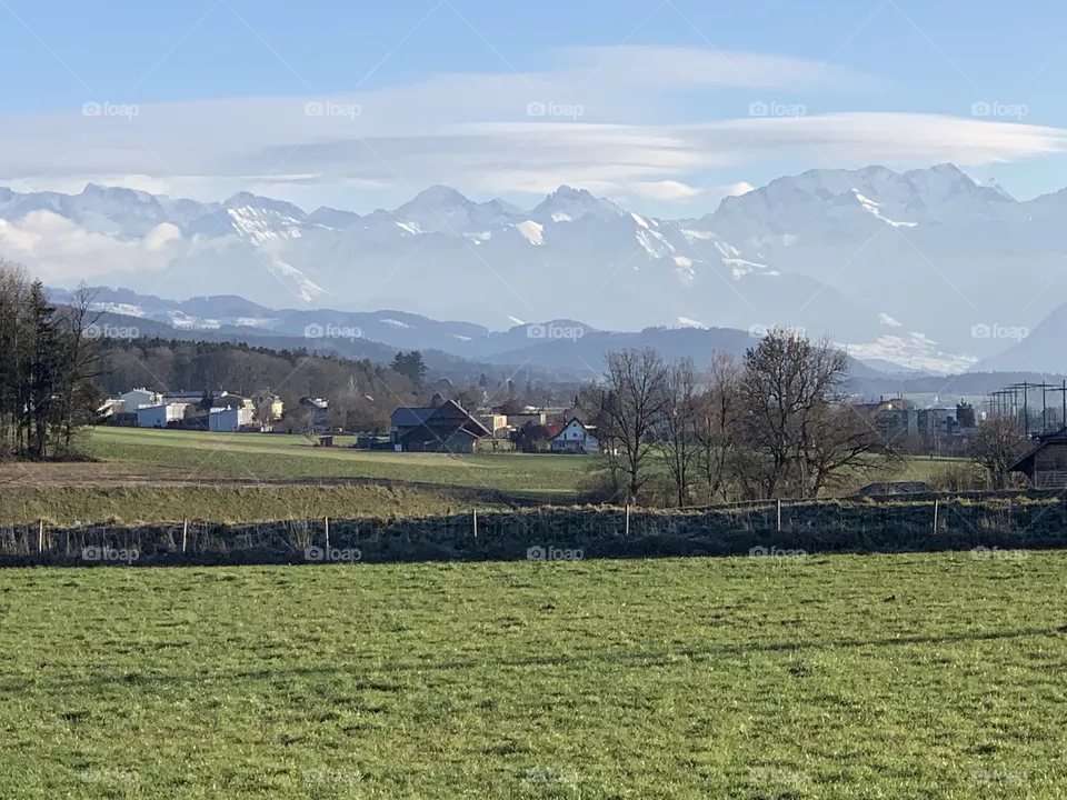 Swiss