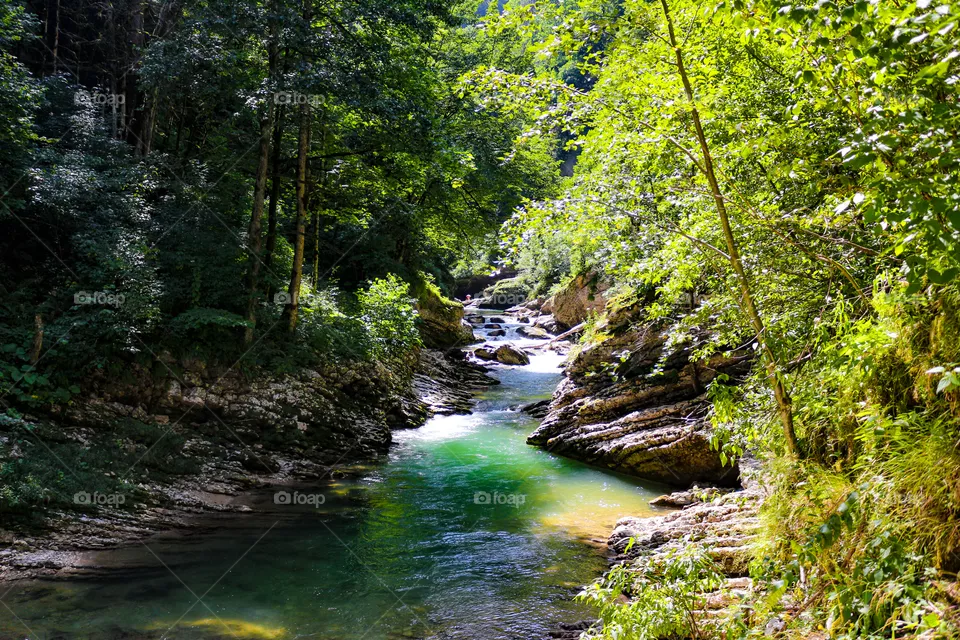 Nature