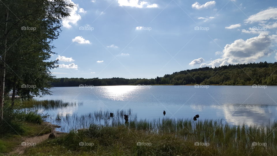Small lake in Sweden - sjö