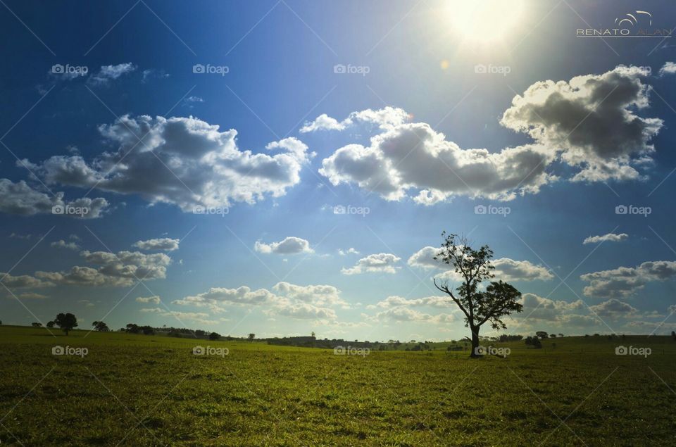 No Person, Nature, Outdoors, Rural, Countryside