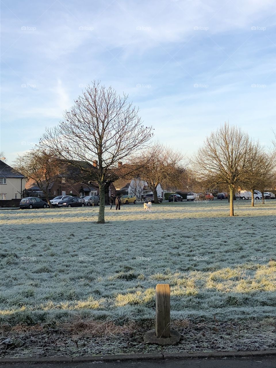 Very cold and frosty morning in Cardiff U.K. 