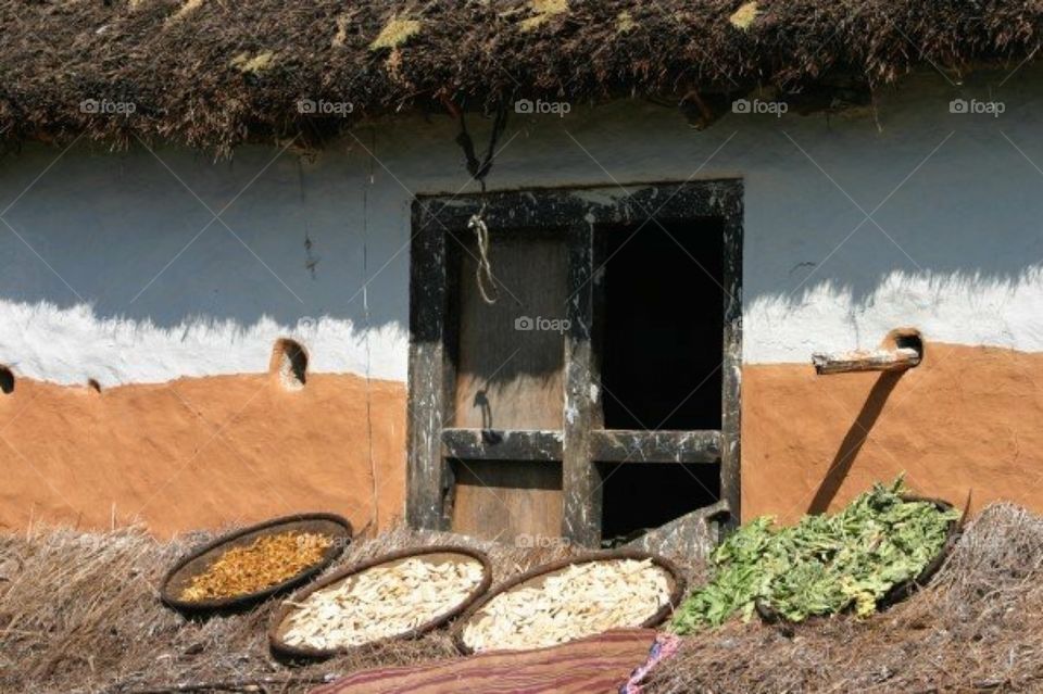 The life and Times of Nepal