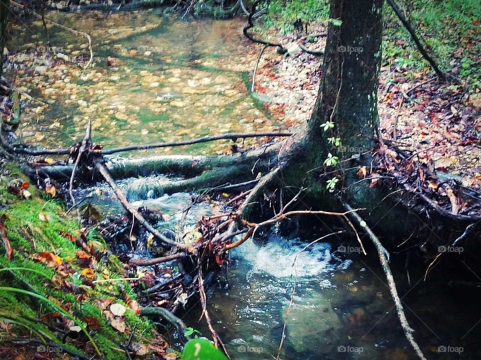 Flowing creek