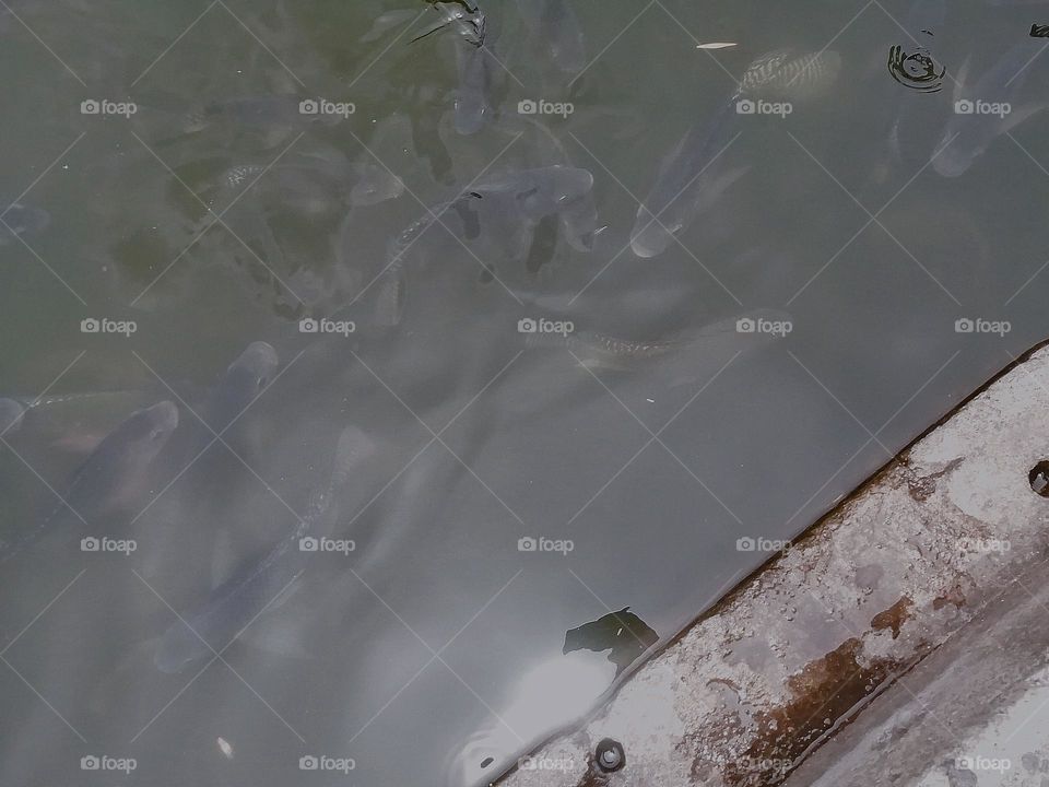 Beautiful nature !!!