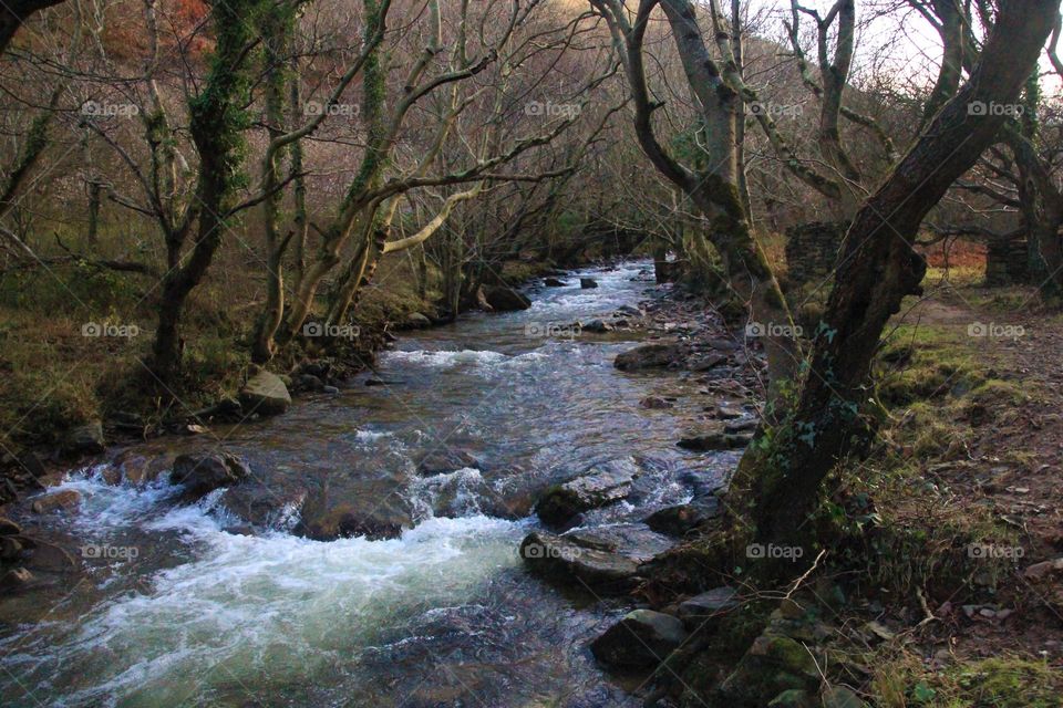 Water, River, Landscape, Tree, No Person