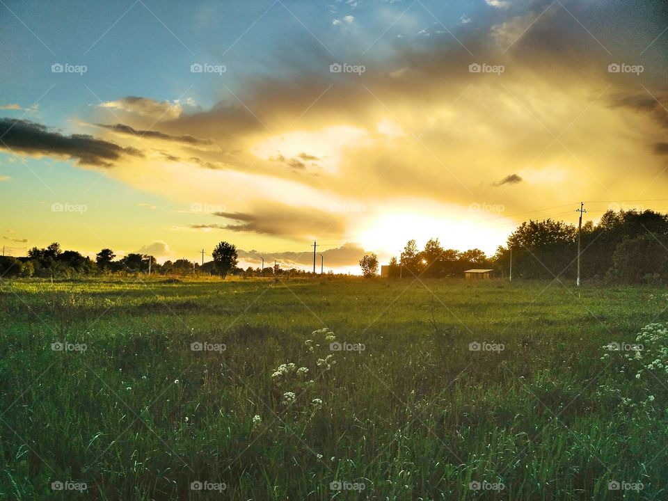 летний закат в поле. трава,цветы, деревья в дали, оранжевые облака, синее небо,зеленью