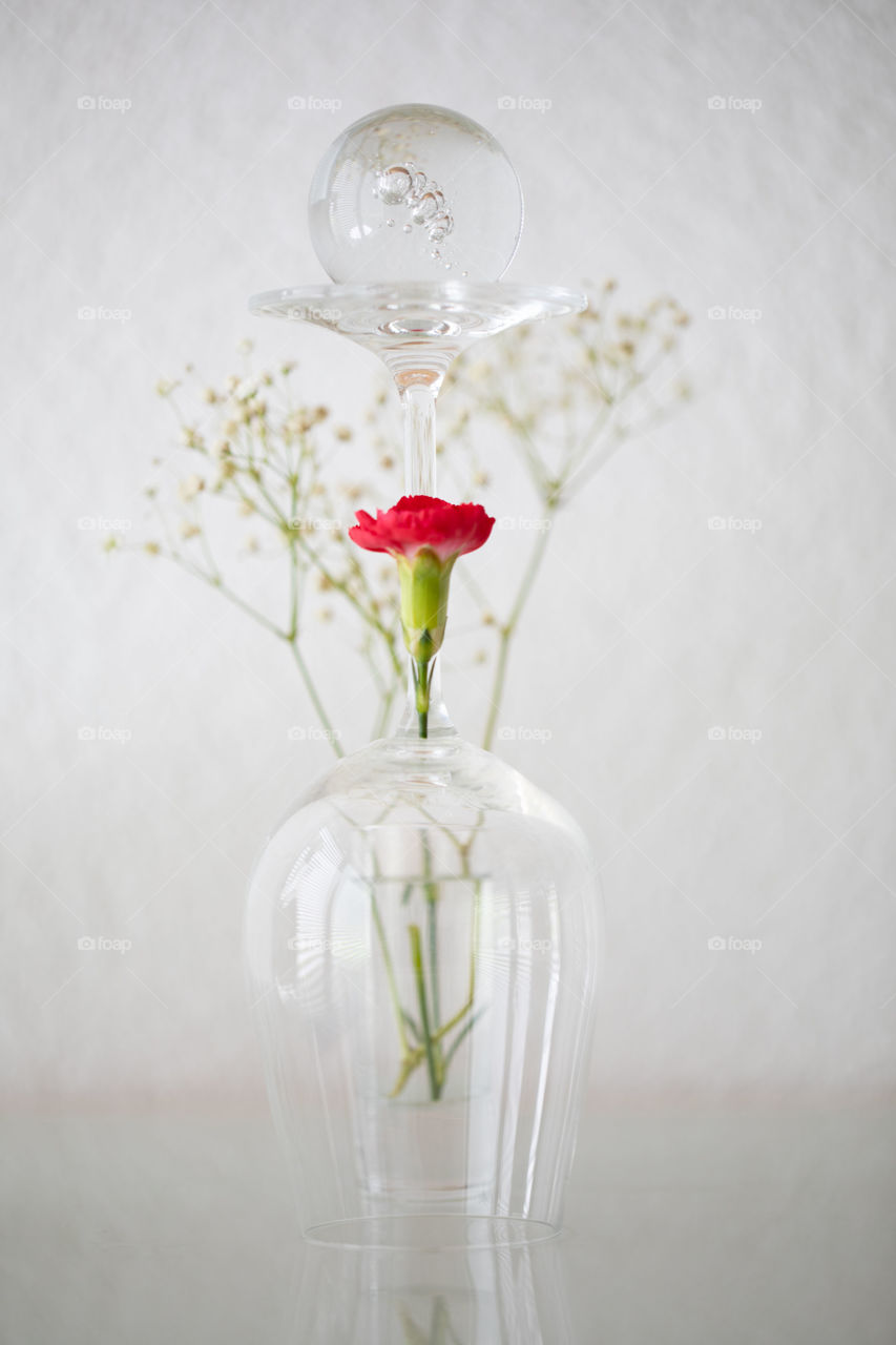 Red decorative clove at the glass. Abstract concept