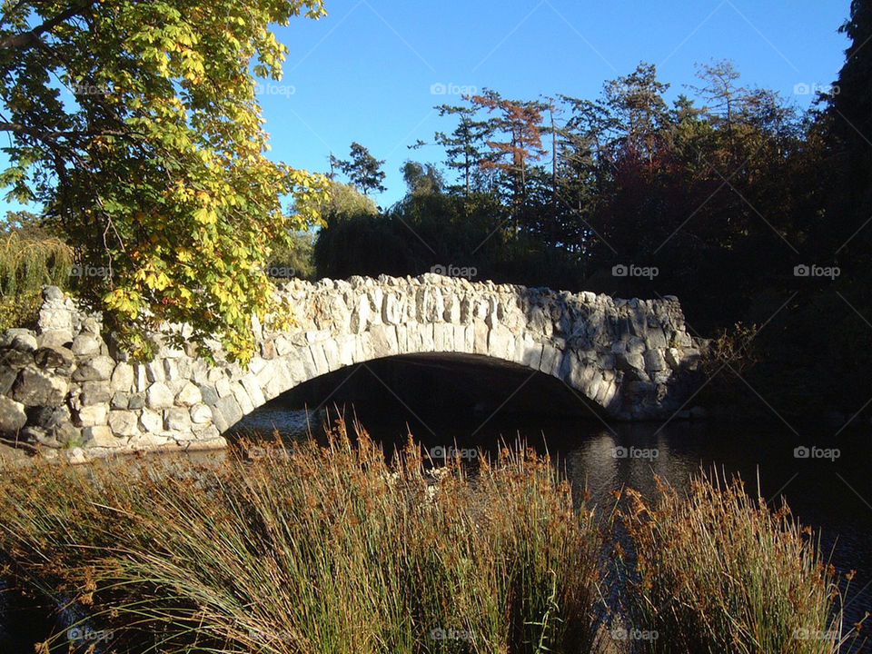 trees park river bridge by markworld