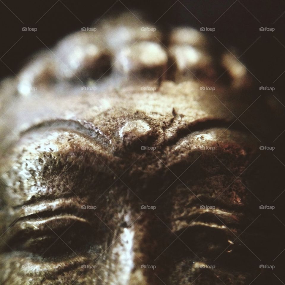 Macro Buddha