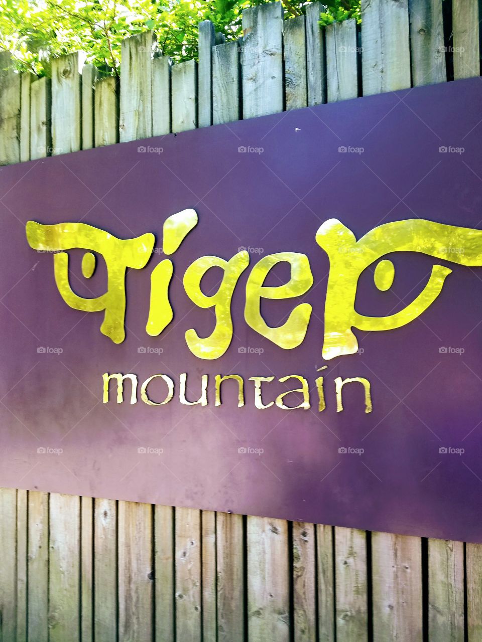 tiger mountain