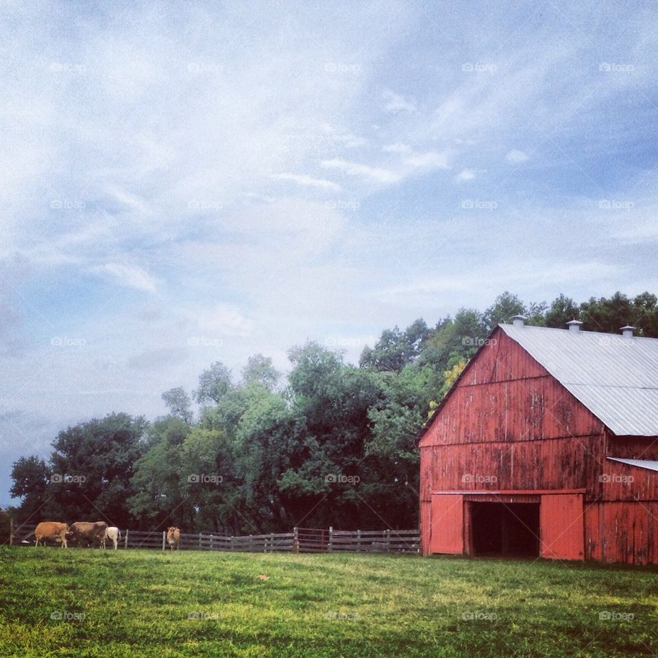 barn side.