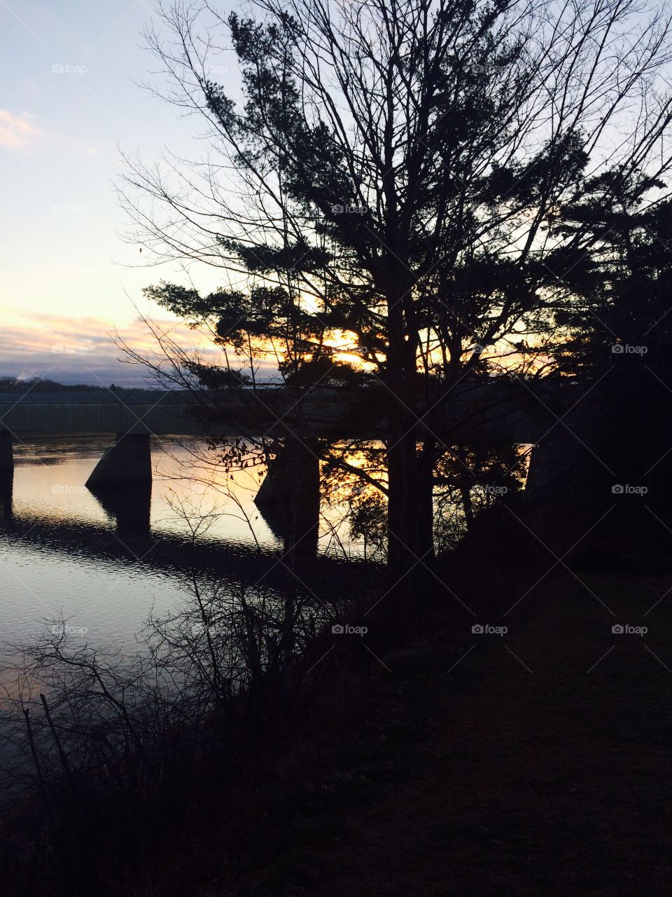 Covered bridge over the St John river