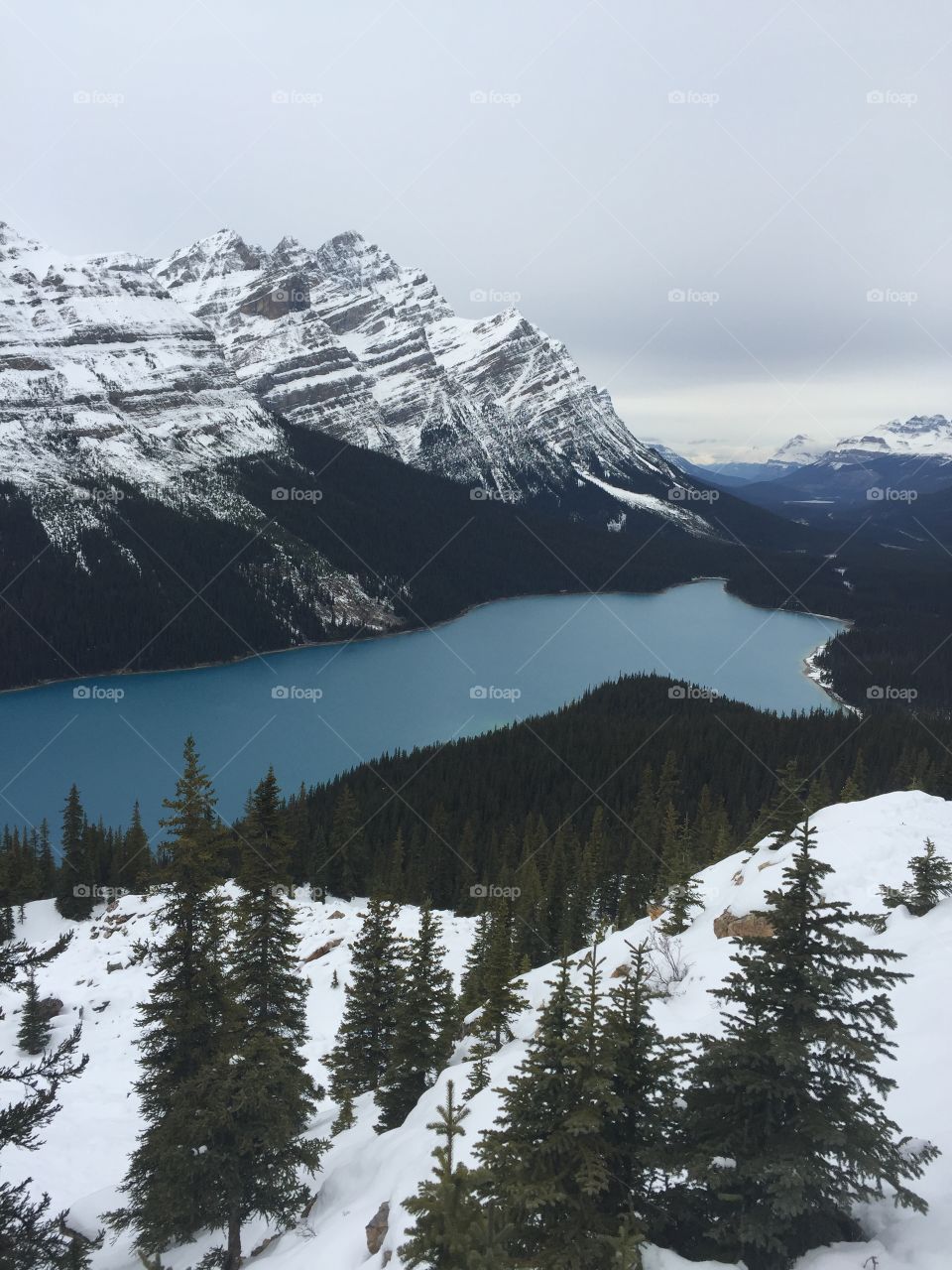 Lake Peyto