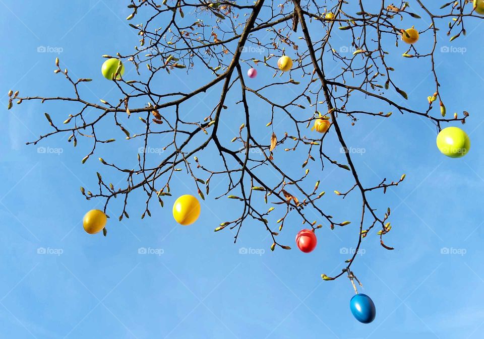 Colorful Easter eggs on a tree