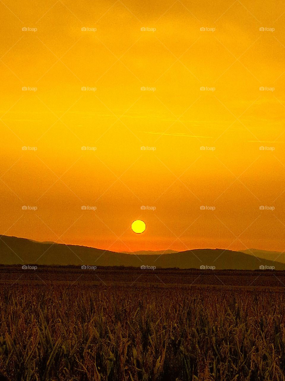 orange sun above the mountains