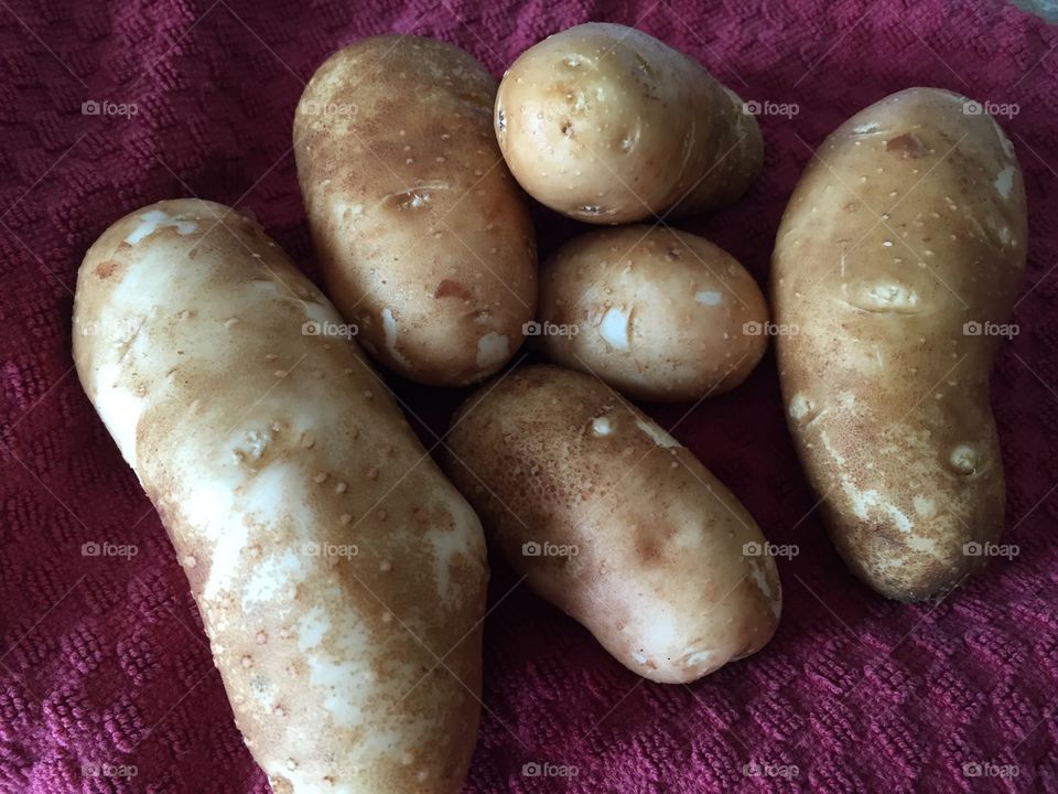 Homegrown Potatoes 
