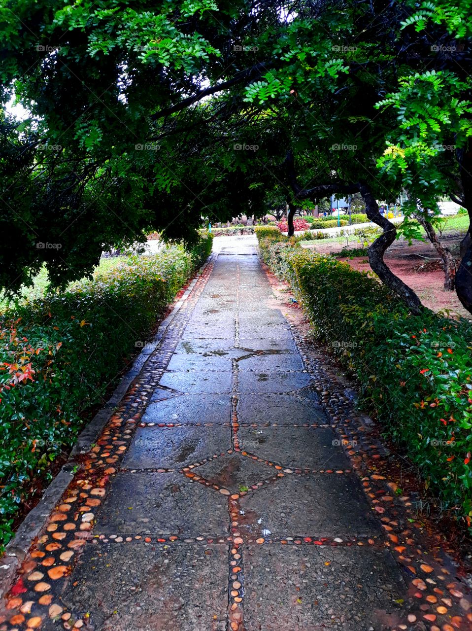 Lovely road in a garden