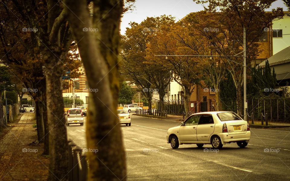 a small white car that turns and runs on a road that is not so crowded in the afternoon in the autumn season