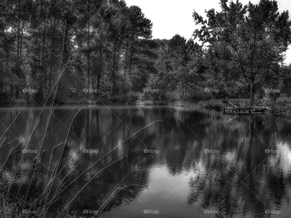 Reflections Of My Life