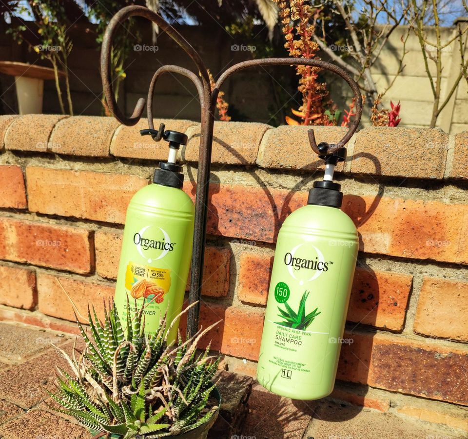 Organics Daily Care 2-in1, Shampoo and Conditioner