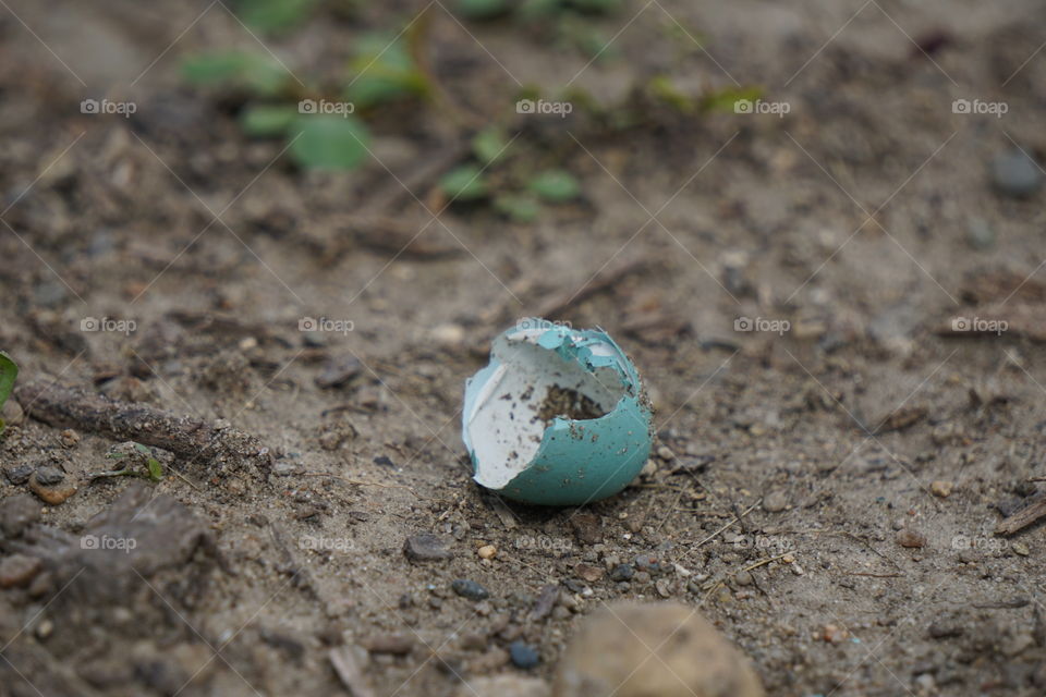 An empty eggshell. 