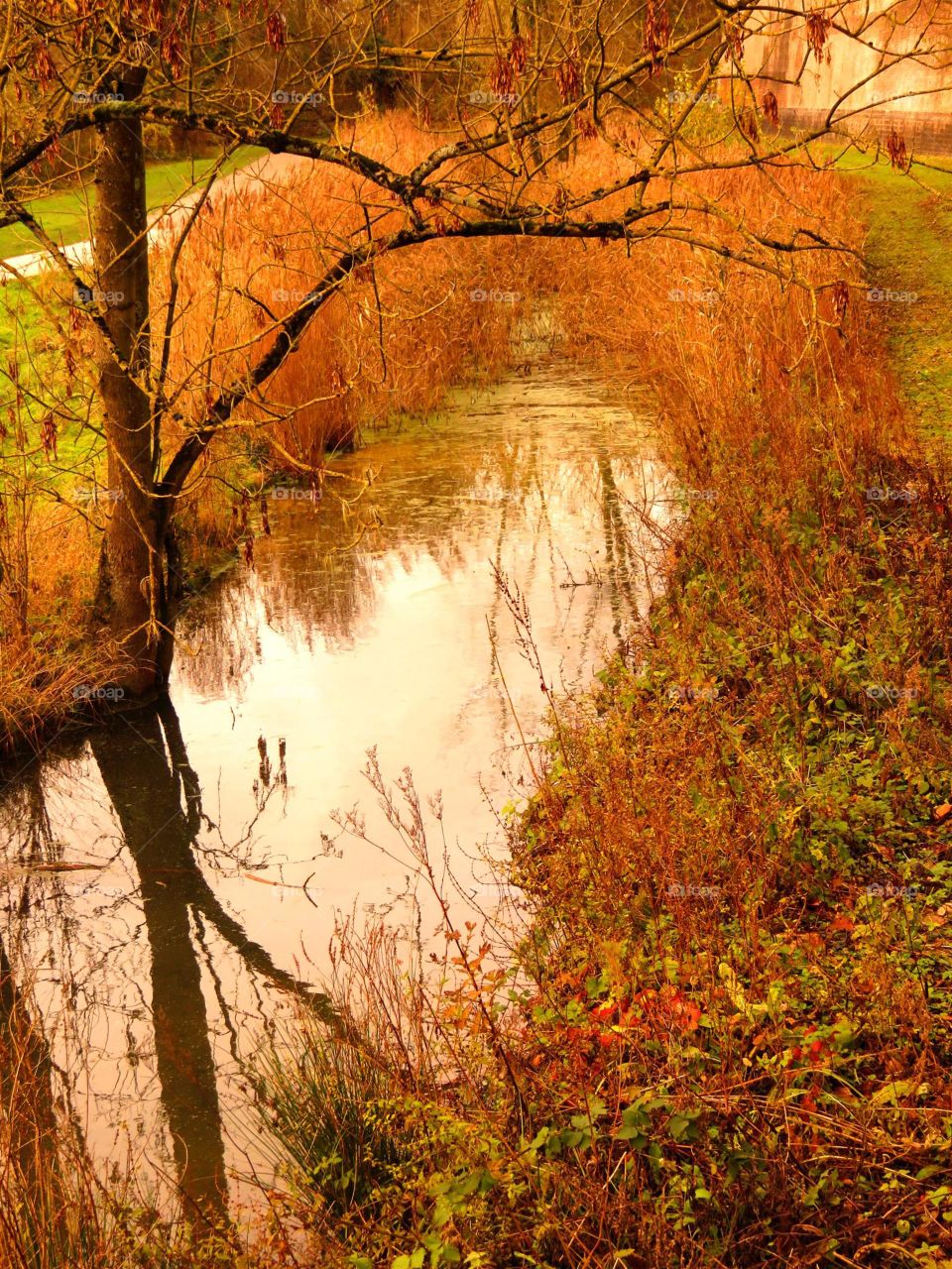 Autumn landscape