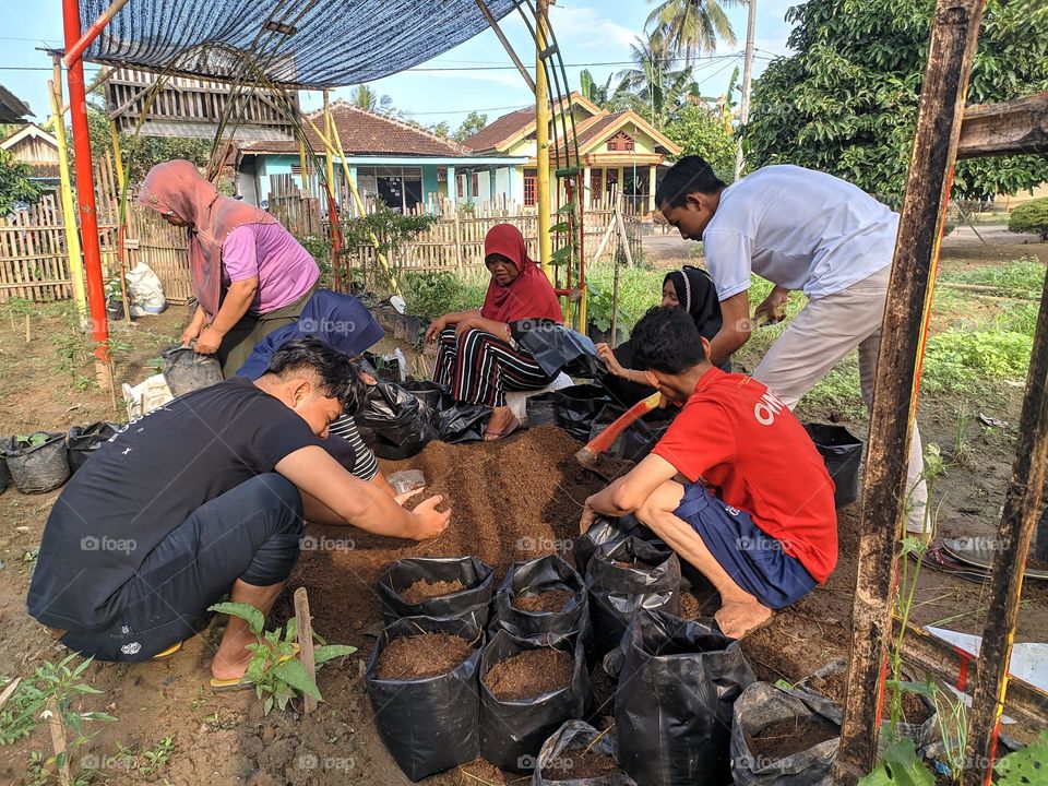 the process of planting vegetables using plastic media