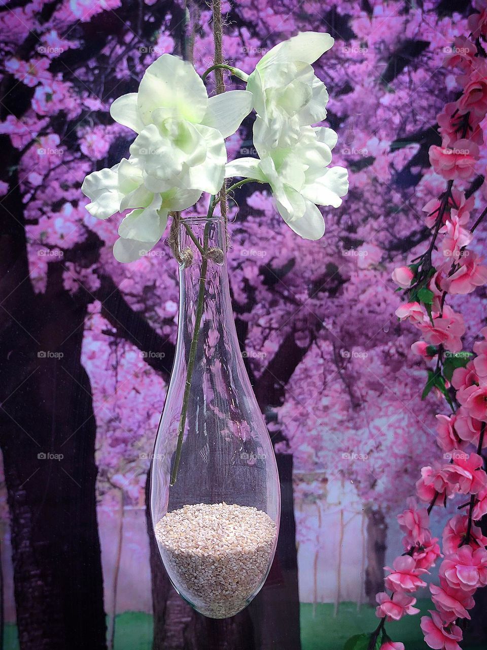 Flowers in a vase. A transparent vessel with sand inside hangs on a rope. There are white flowers in the transparent vessel. In the far background, purple flowers bloom on almond trees