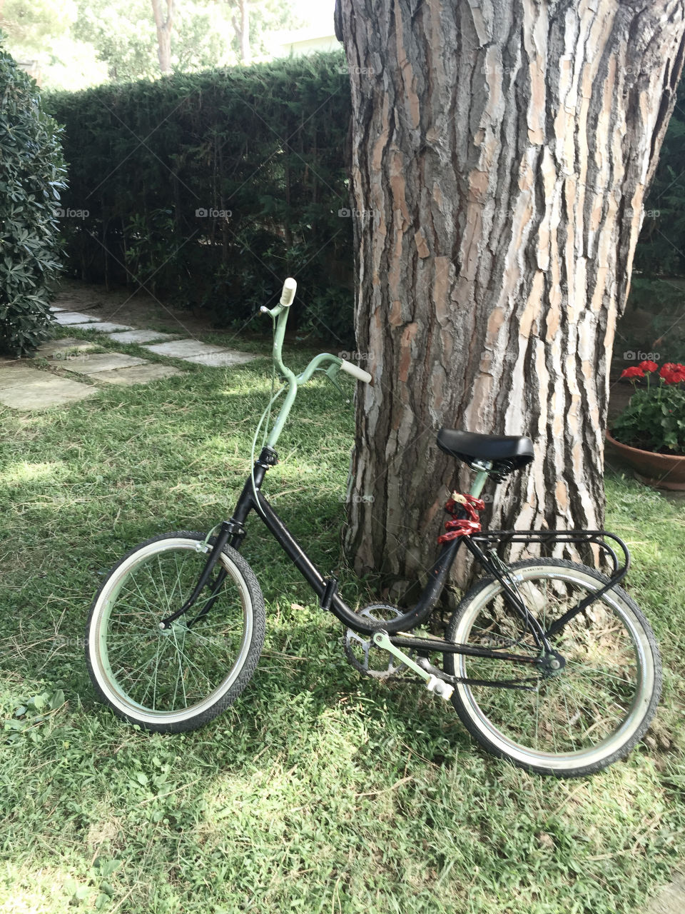 Wood, Tree, Wheel, No Person, Grass