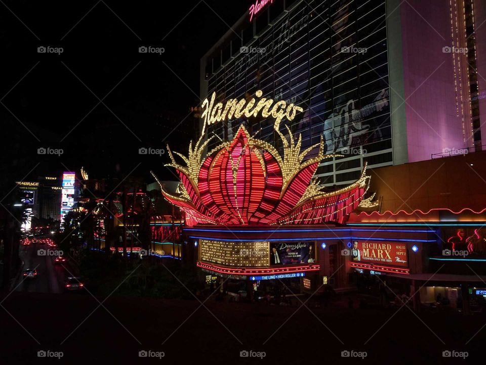 Flamingo Hotel Casino in Las Vegas, Nevada