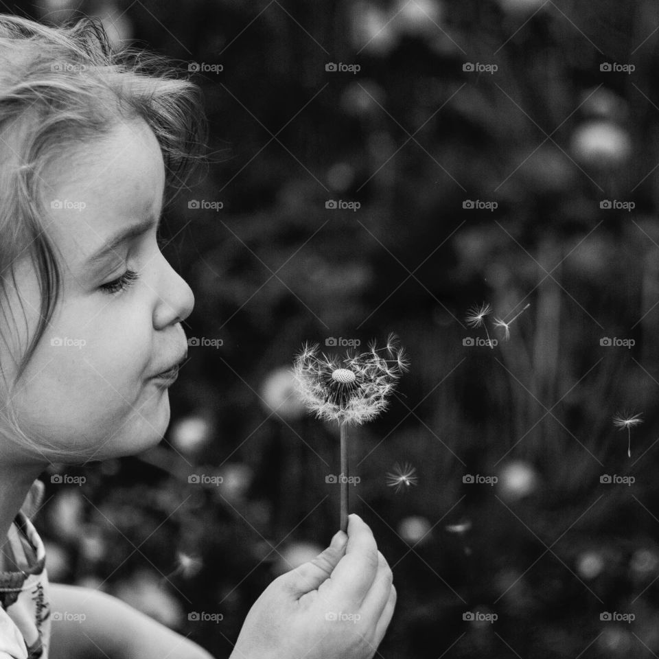 details, dandelions, child portrait, black and white photographer, little girl 