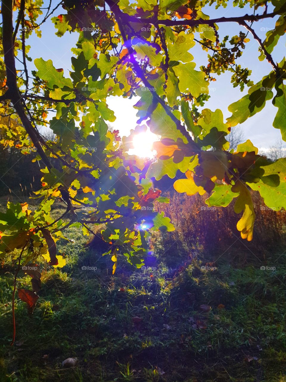 morning walk eston hills