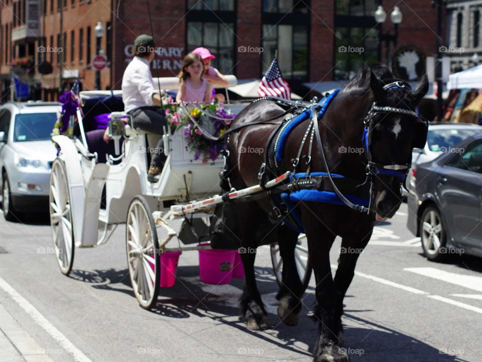 Horse carriage