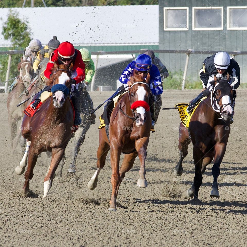 The Gallant Bob Stakes by Fleetphoto