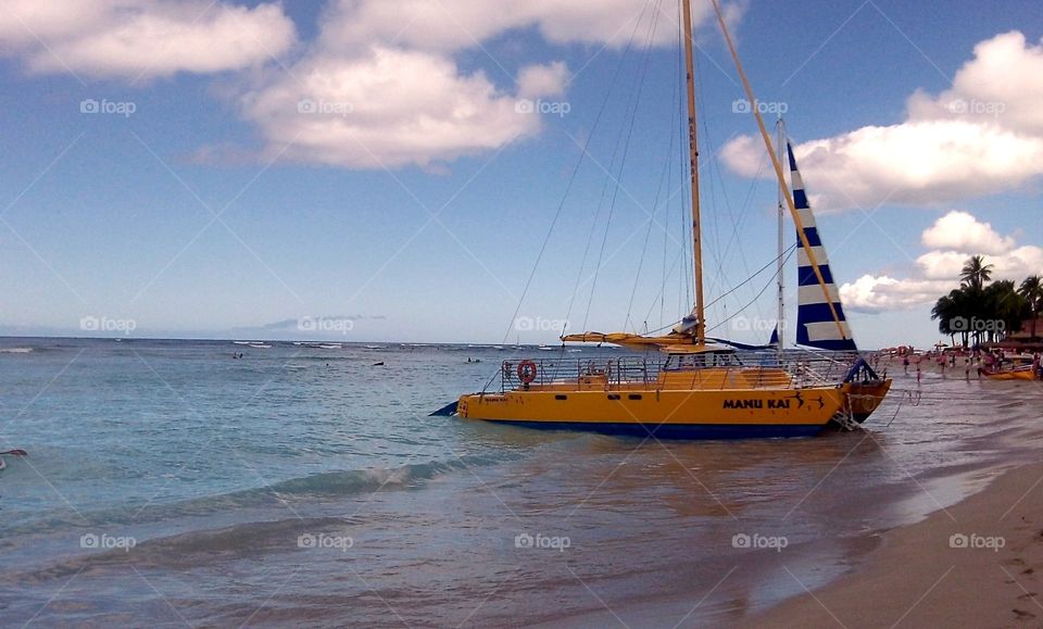 Yellow catamaran 