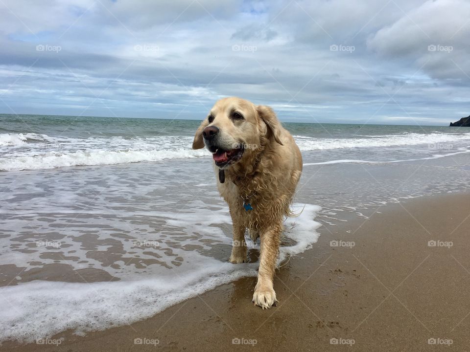 Beach, Sea, Water, Sand, Ocean