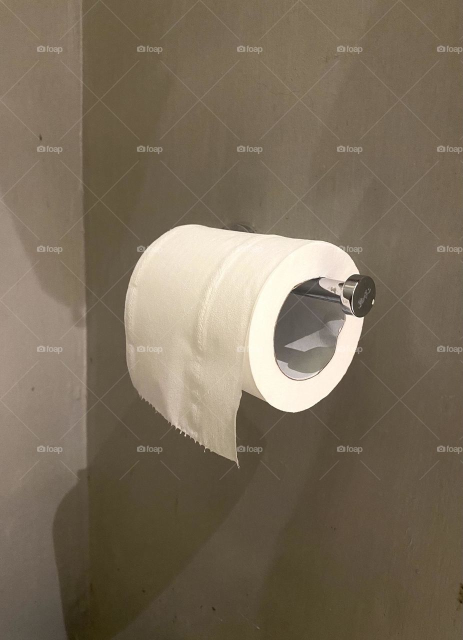 toilet paper, trivial but very necessary and important 