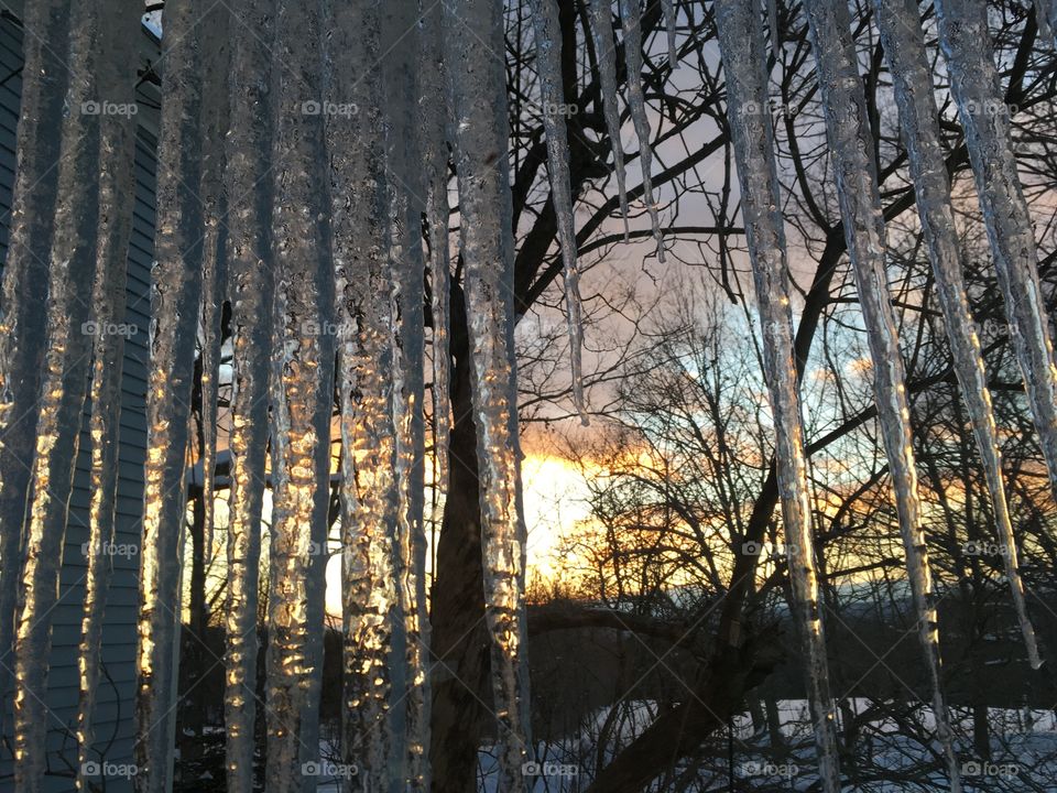 Icicles sunset