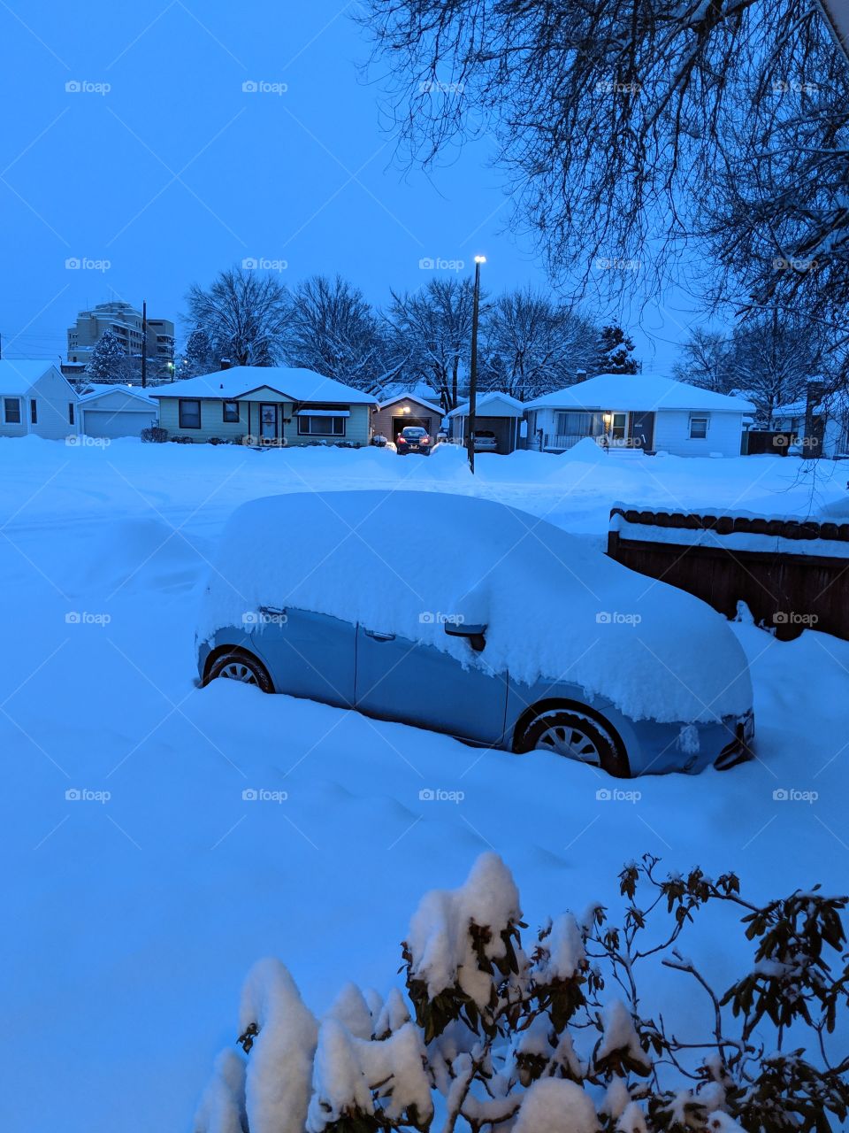 snow in the morning during snowmeggeddon 2019