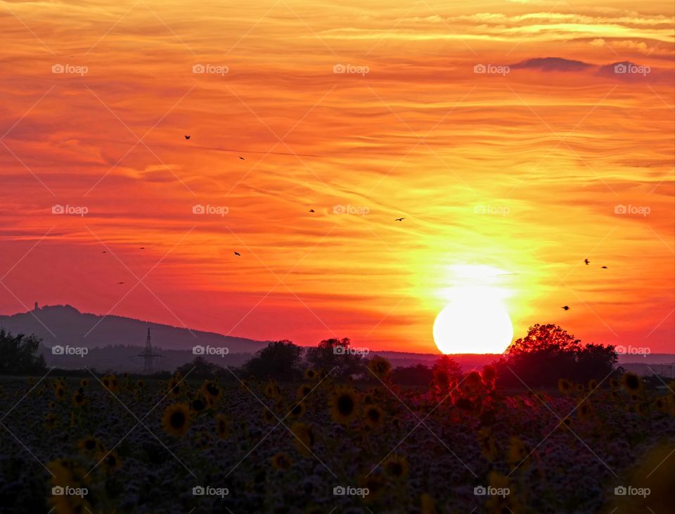 Sunrises and sunsets of our world