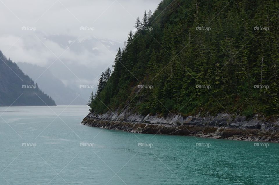 Fjord coastline