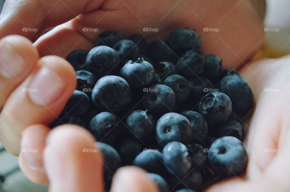 Blueberries in hand