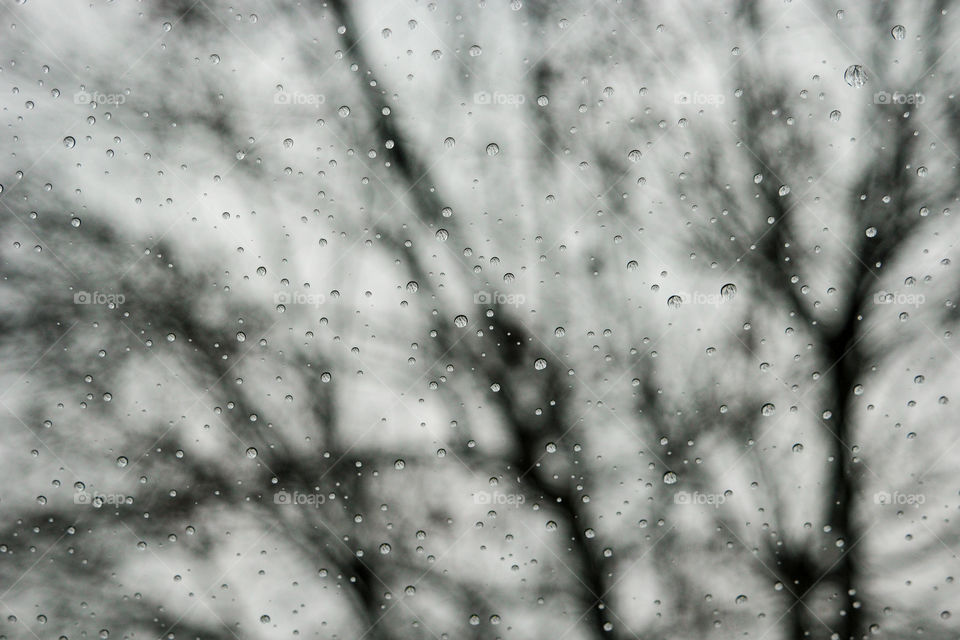 Rain on the glass