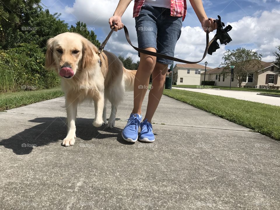 Me and my golden retriever walking side by side 